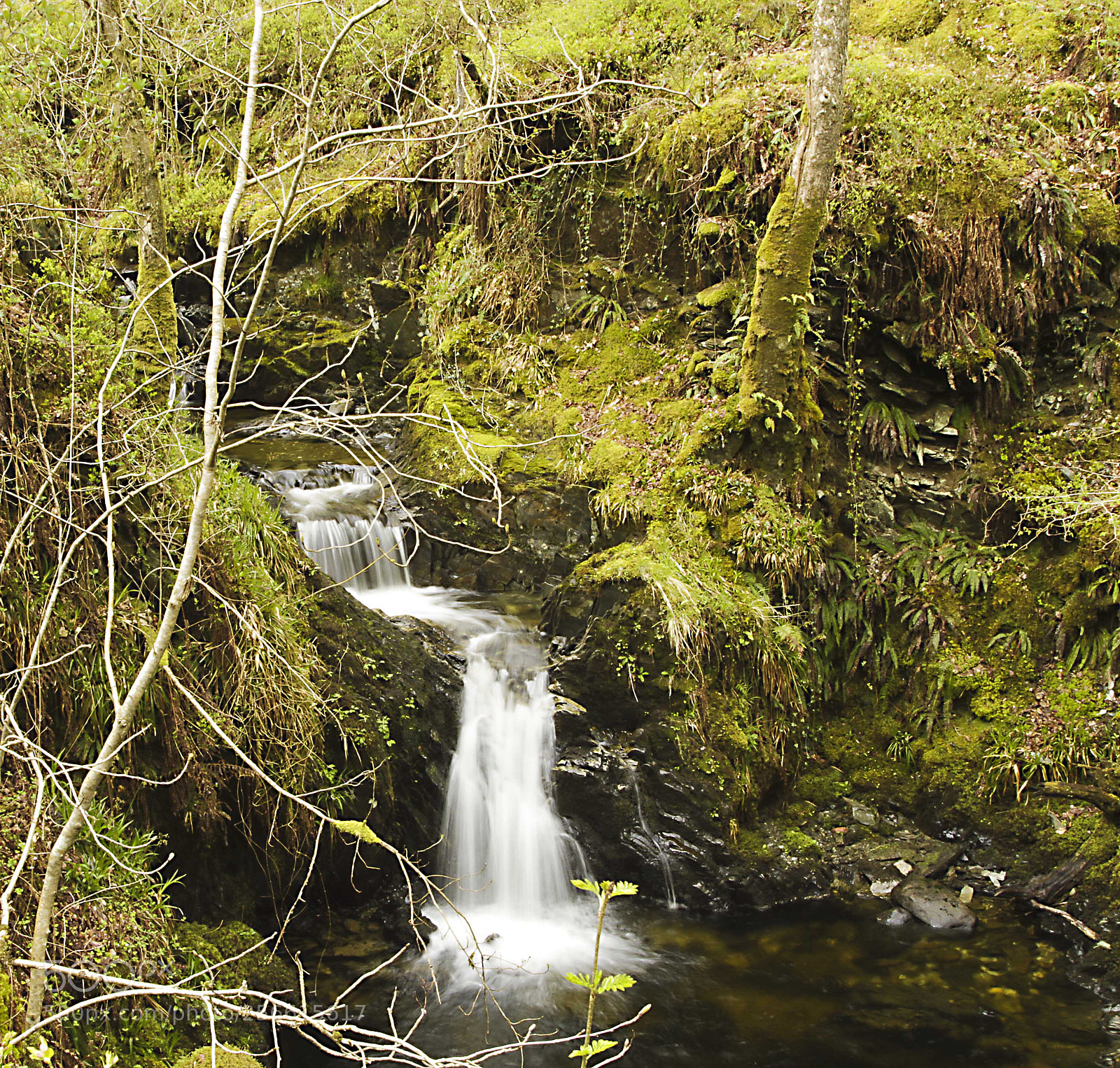 Canon EOS 7D sample photo. Loch chon trails photography