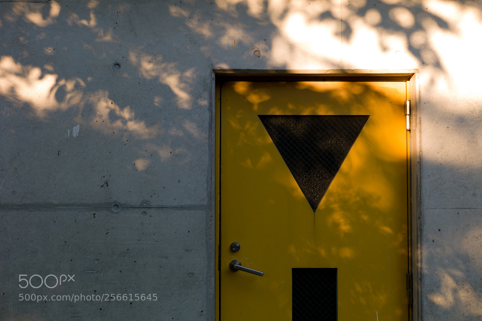 Leica M9 sample photo. Early summer evening photography