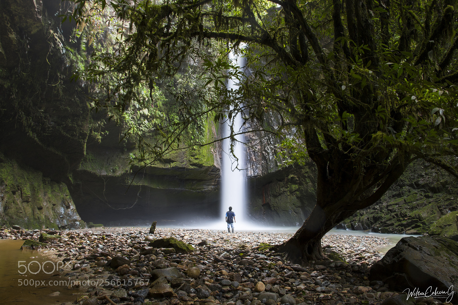 Canon EOS 7D Mark II sample photo. Pananza - ecuador photography
