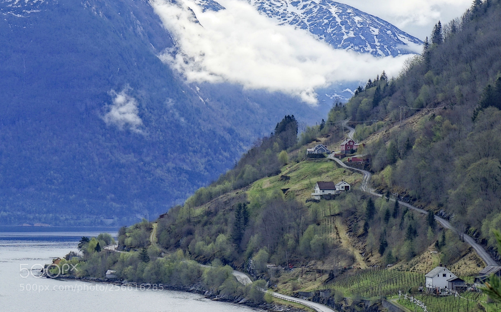 Sony a7 II sample photo. Fjord photography