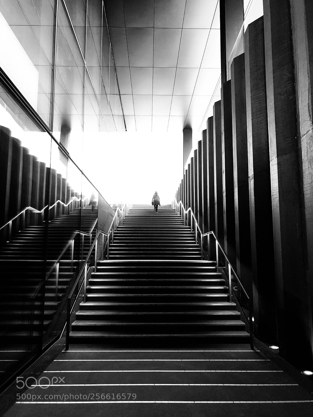 Apple iPhone 8 Plus sample photo. L’escalier  photography