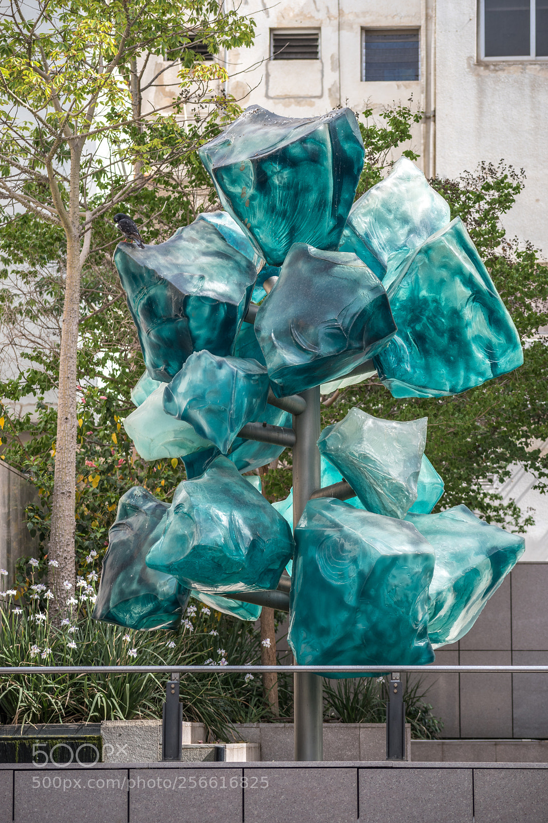 Nikon D5600 sample photo. Fake plastic trees photography