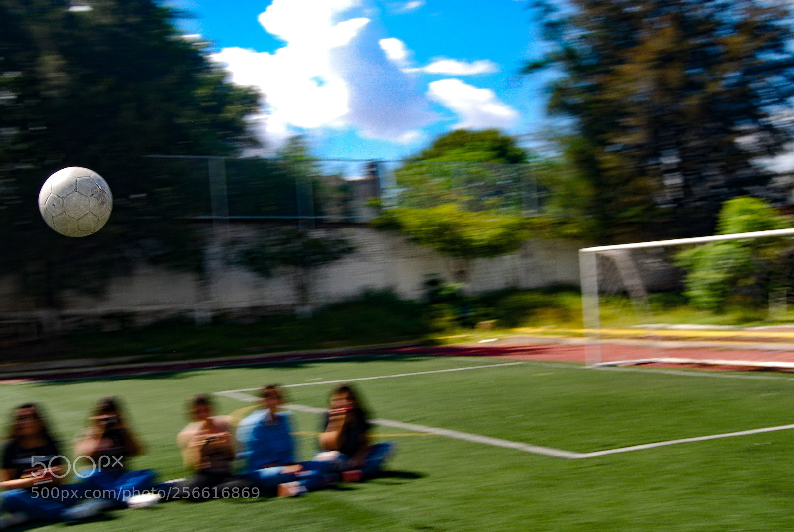 Nikon D40X sample photo. Fast move photography