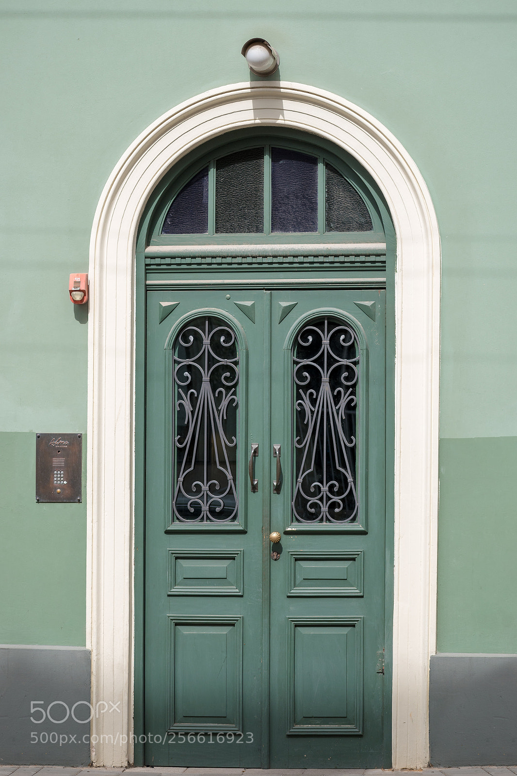Nikon D5600 sample photo. The green door photography