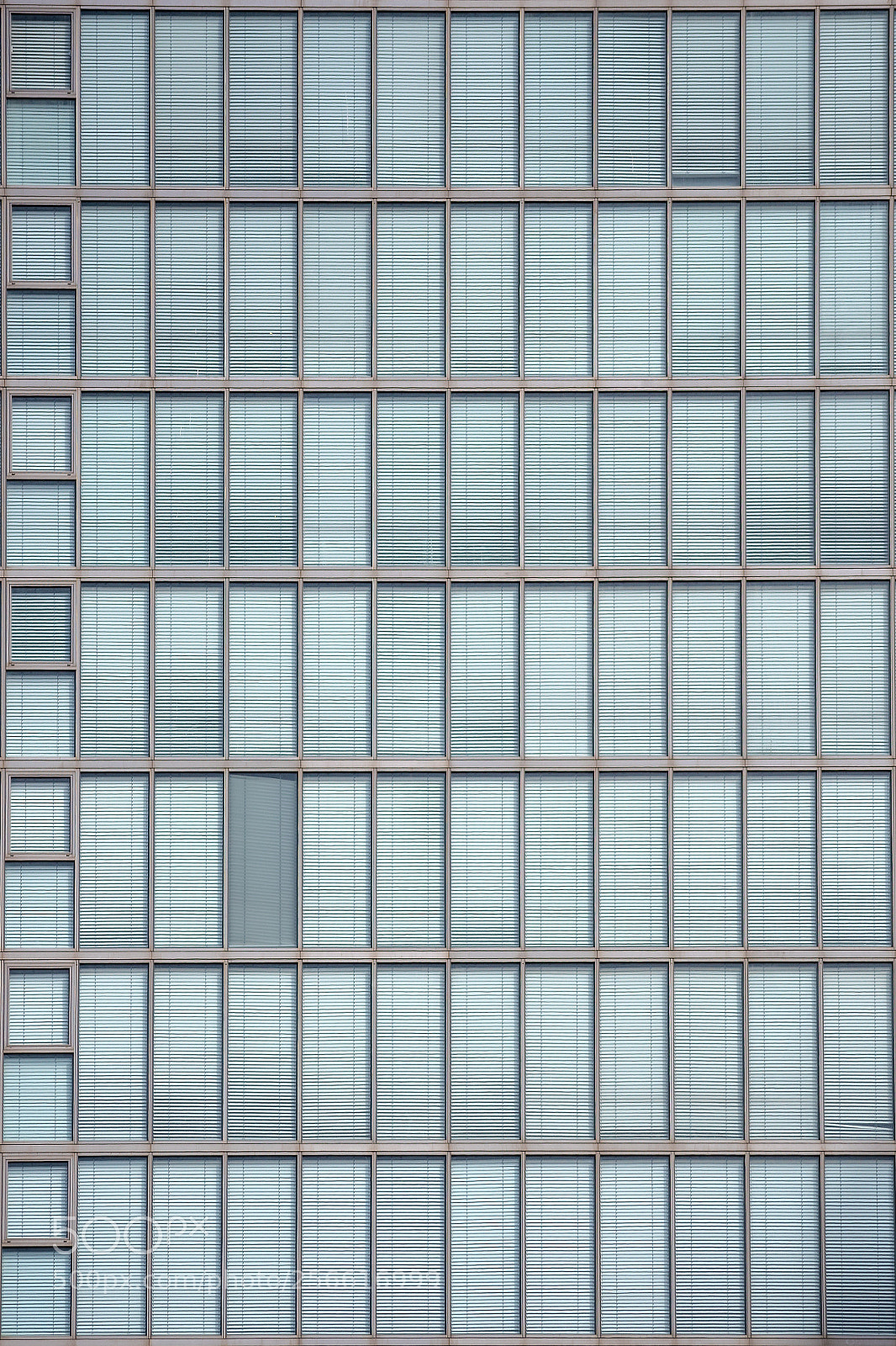 Nikon D5600 sample photo. Windows photography