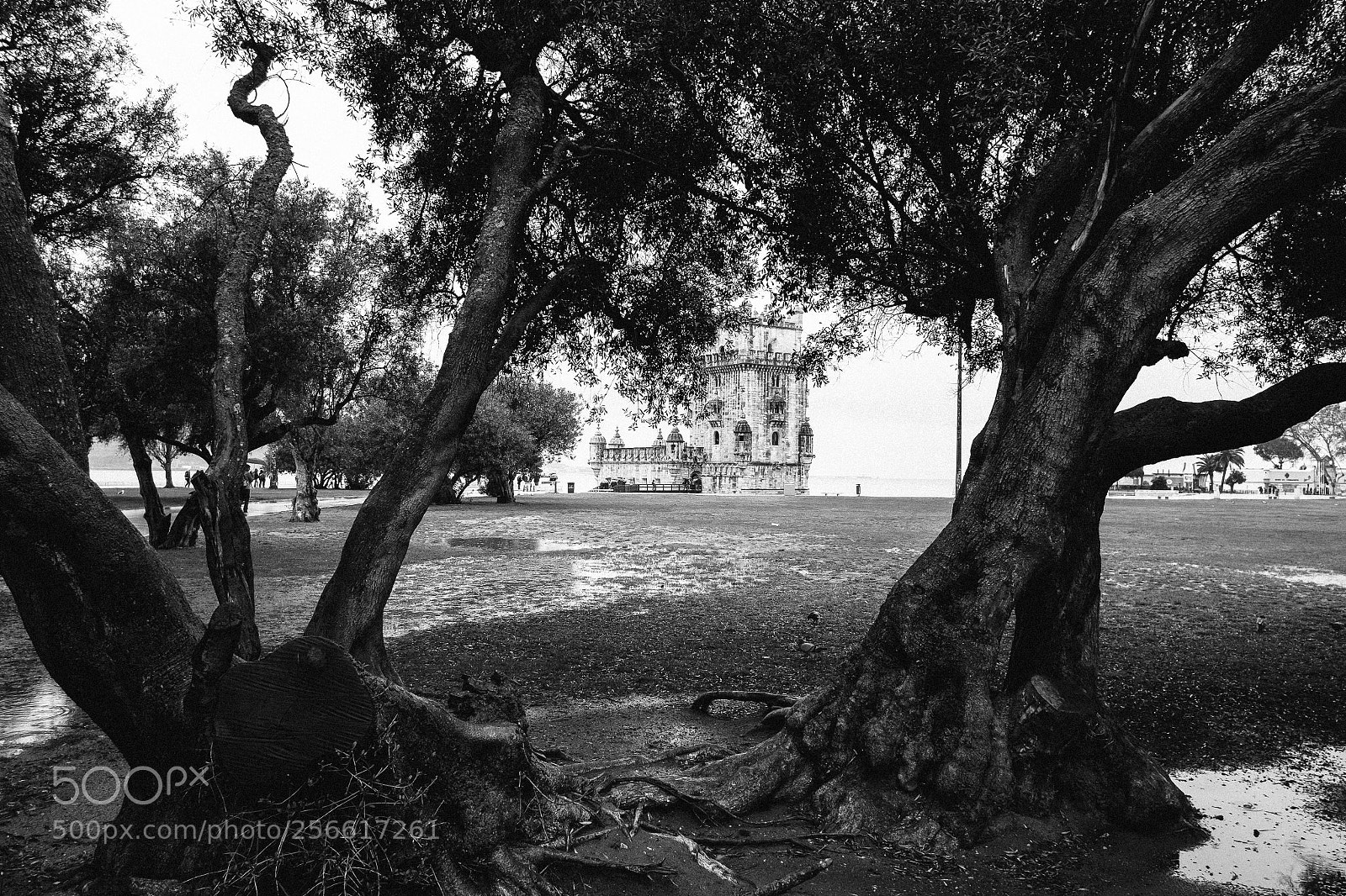 Fujifilm X-E1 sample photo. Belem tower photography