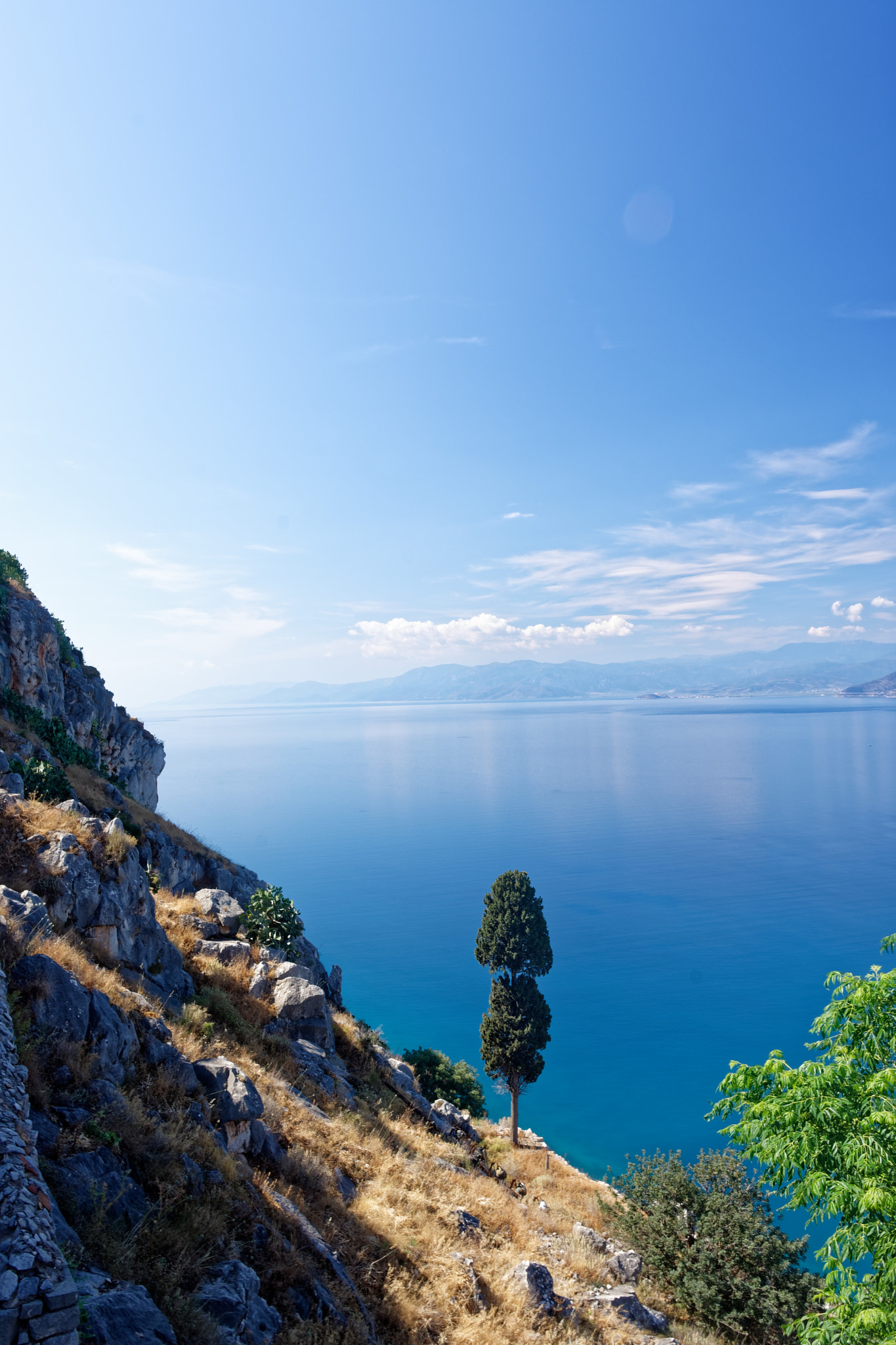Nikon D7200 sample photo. Lone tree over sea photography
