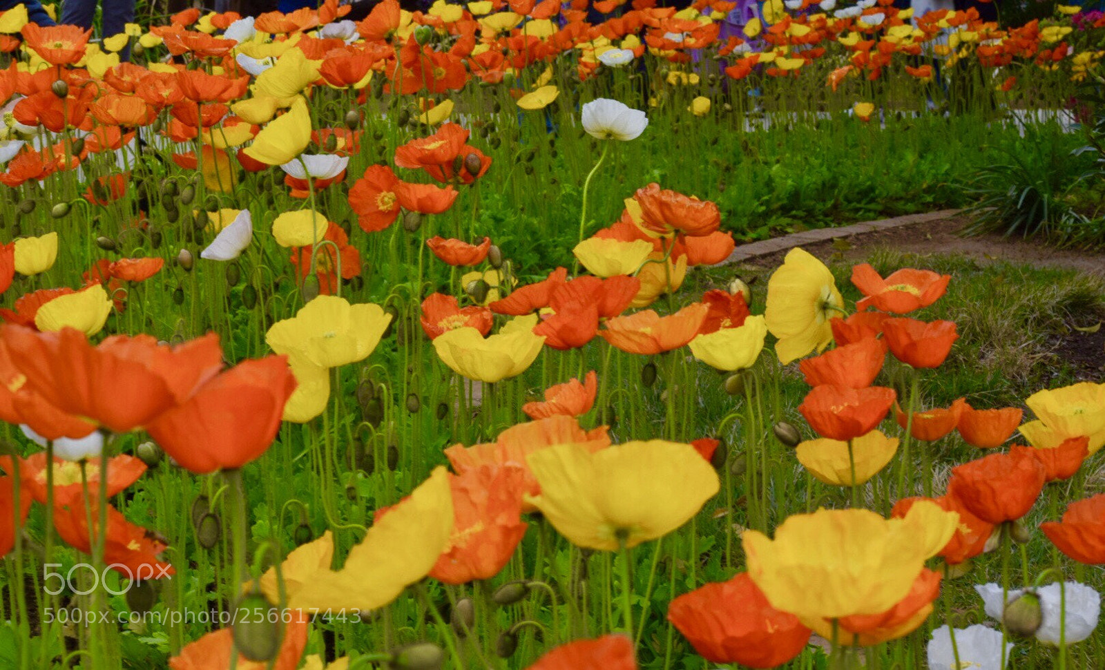 Nikon D5300 sample photo. Untitled photography