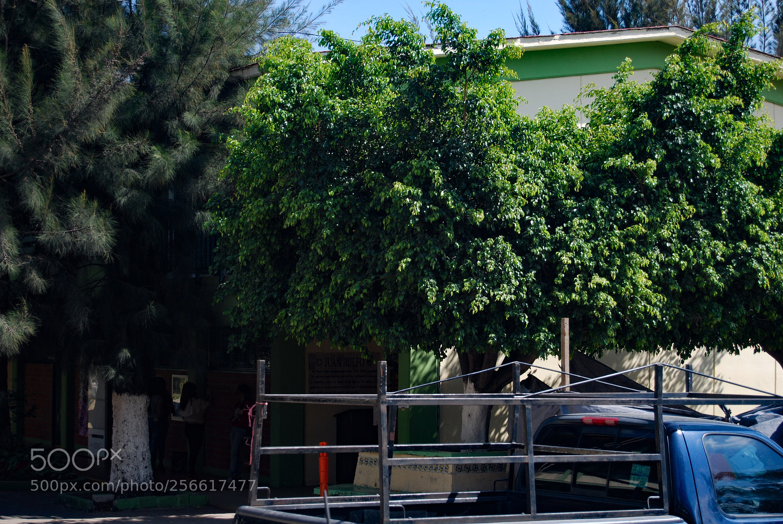 Nikon D40X sample photo. Good photography