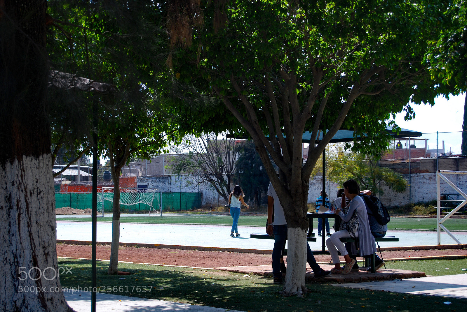 Nikon D40X sample photo. Friends photography