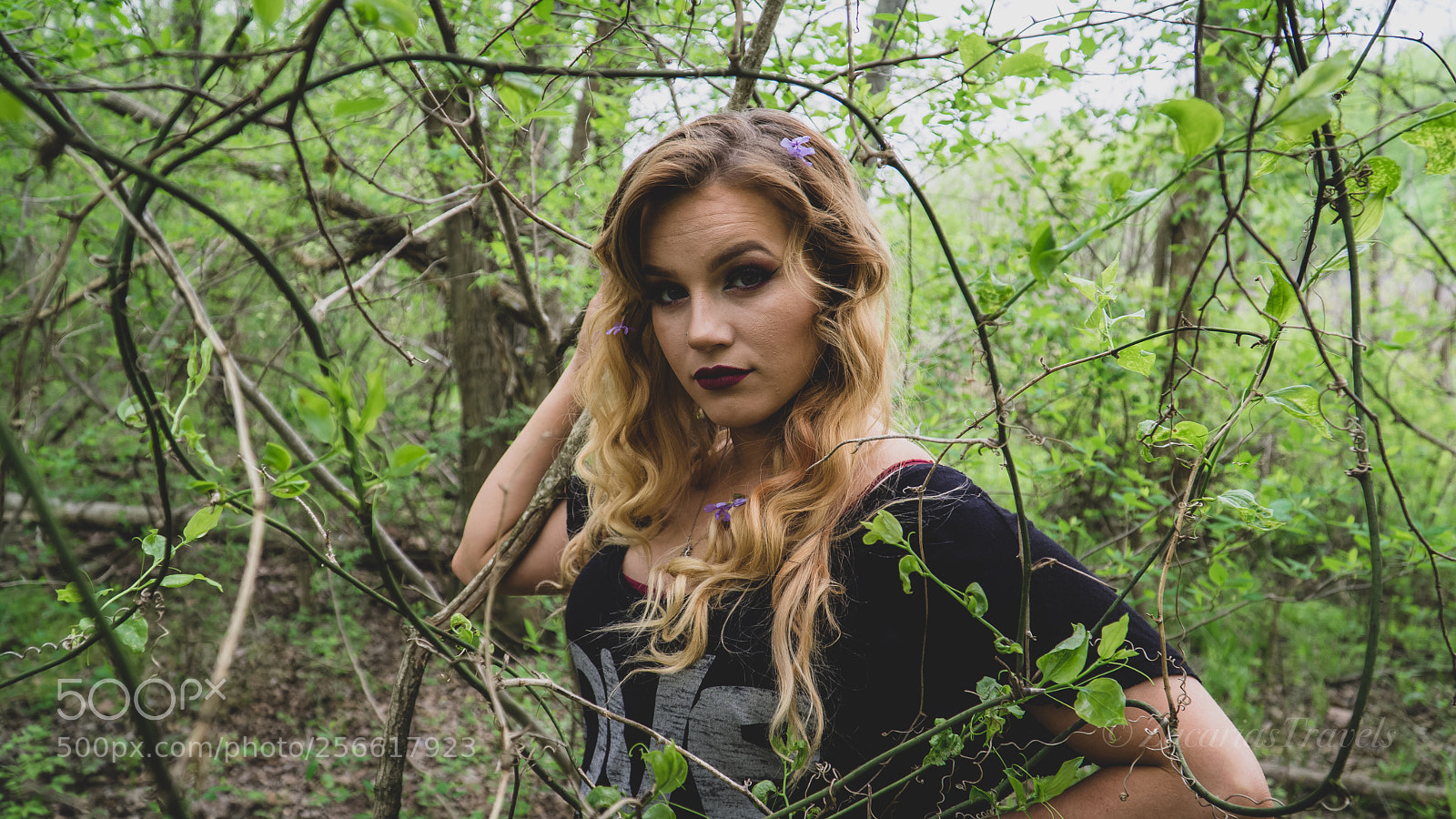 Sony a6000 sample photo. One with the trees photography