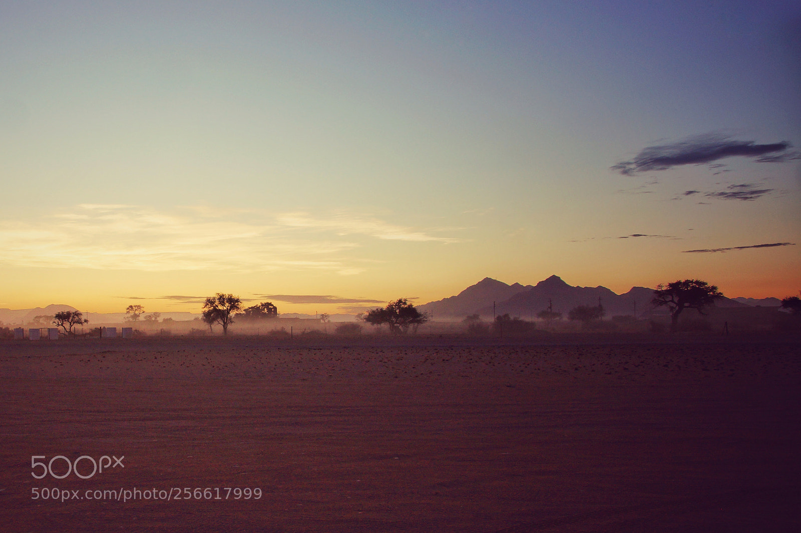 Sony SLT-A77 sample photo. Namibian morning photography