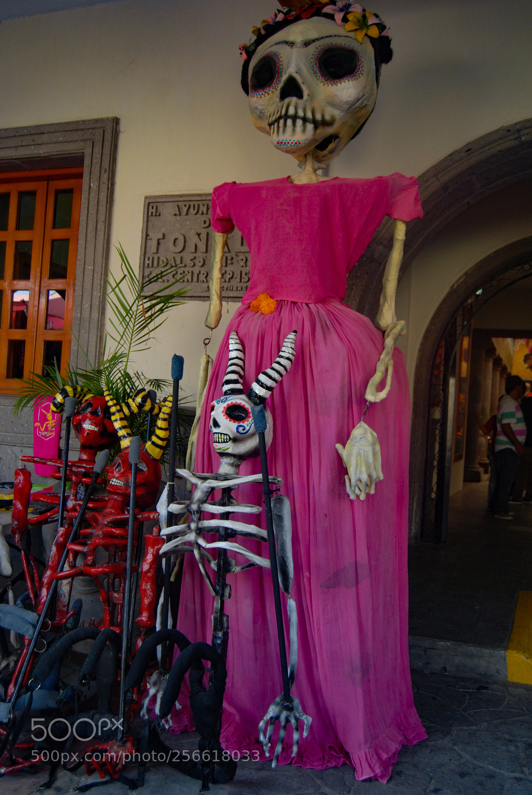 Nikon D40X sample photo. Dead photography