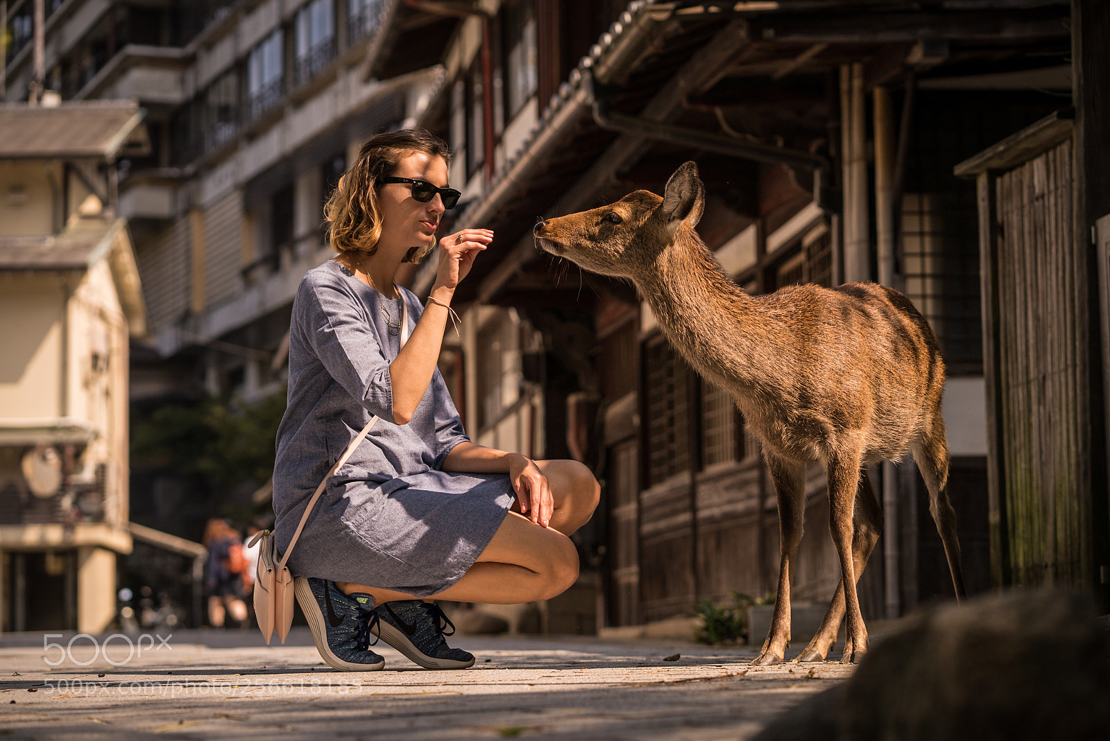 Sony a7S sample photo. Tame deer in japan photography