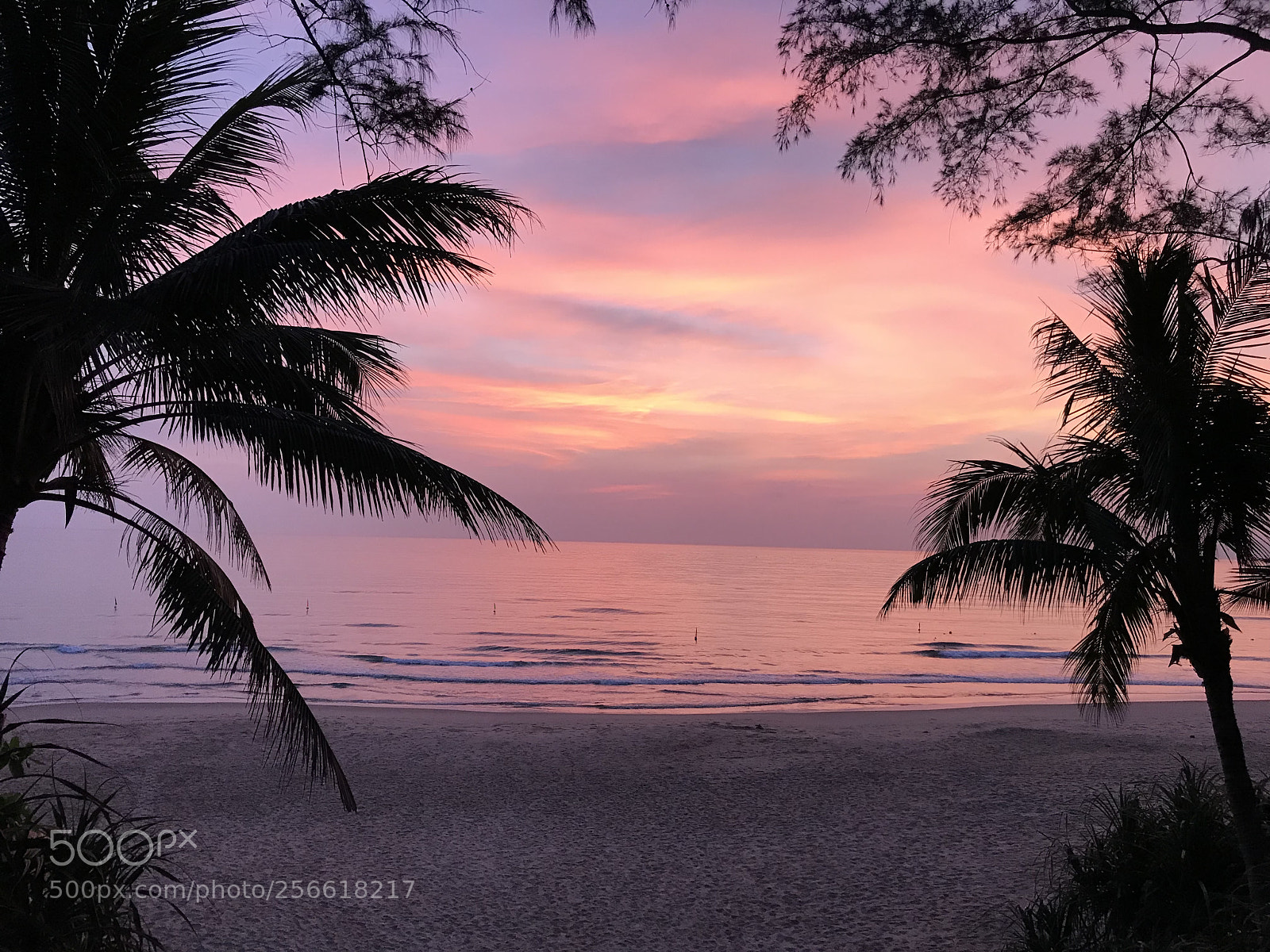 Apple iPhone 7 Plus sample photo. Breaking the dawn photography