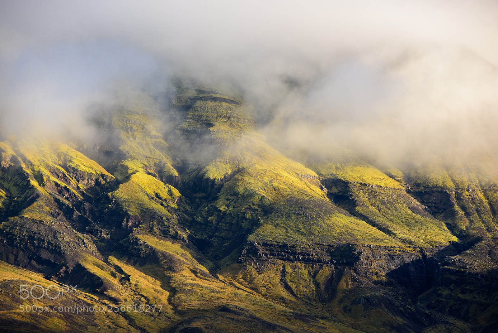 Nikon D810 sample photo. Home of elves and photography
