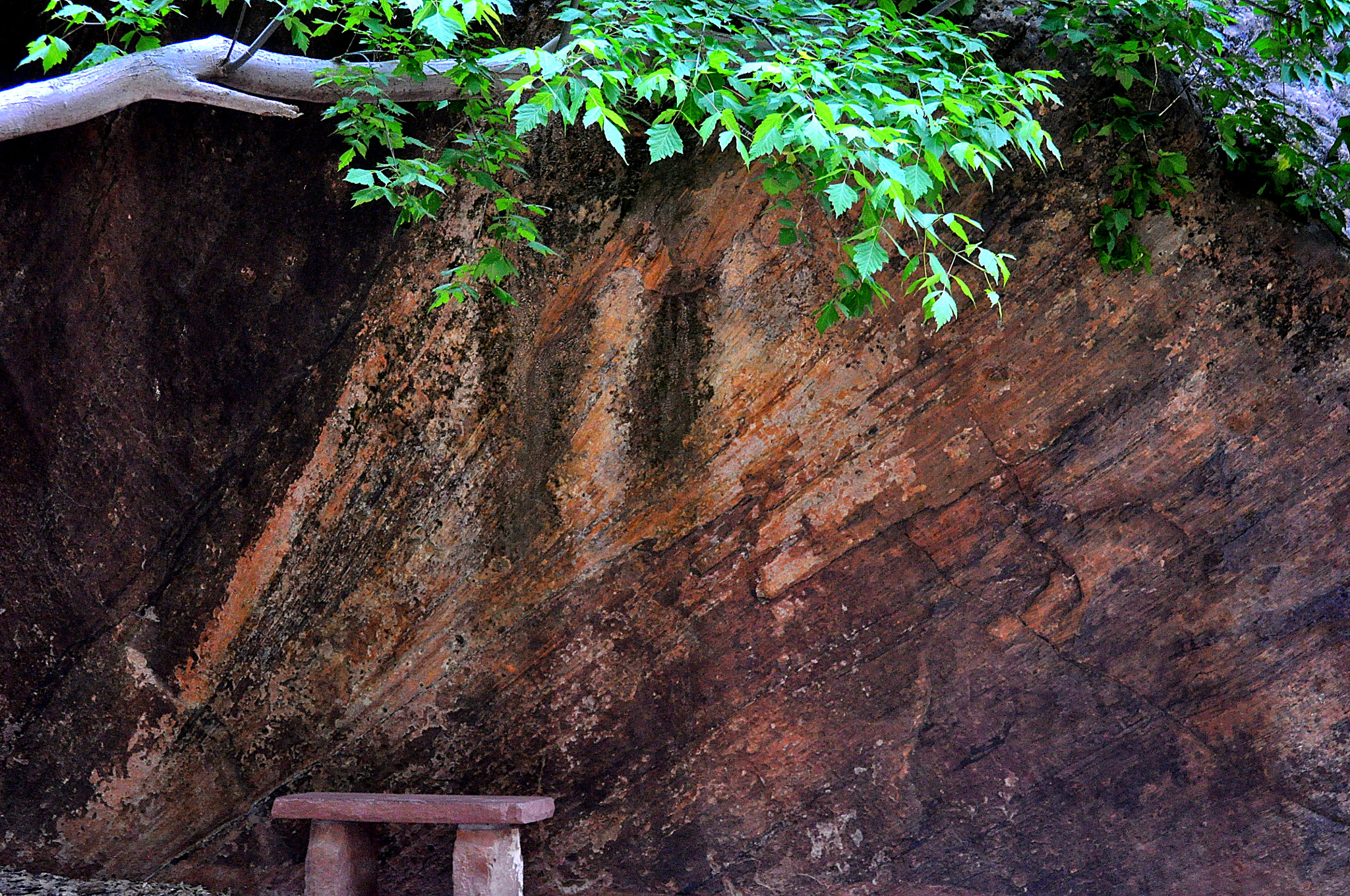 Nikon D5000 sample photo. A place for belonging #zeninzion photography