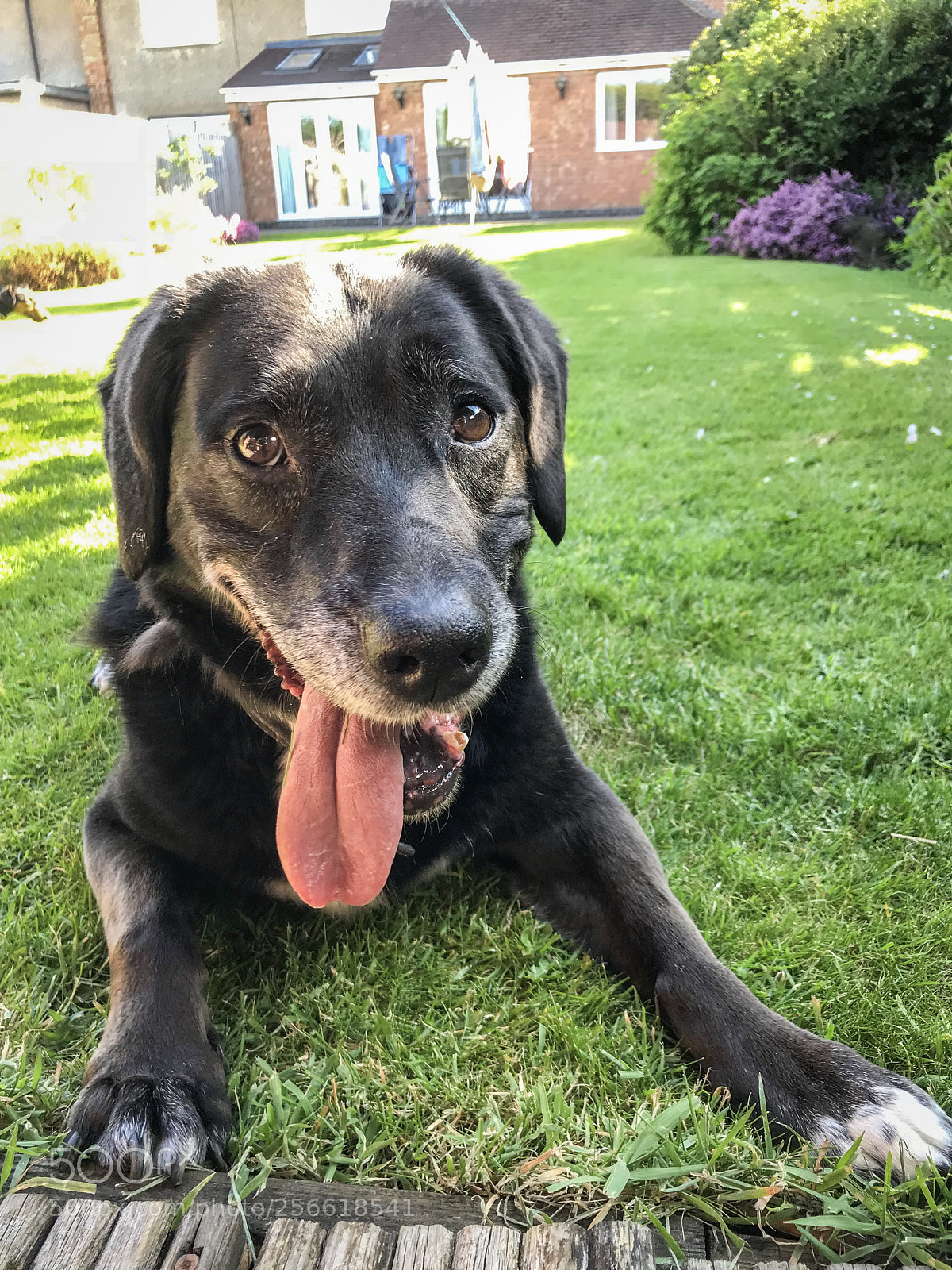 Apple iPhone 7 sample photo. Enjoying the nice weather  photography