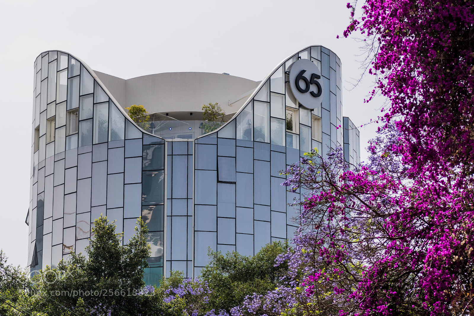 Nikon D5600 sample photo. Number 65 photography