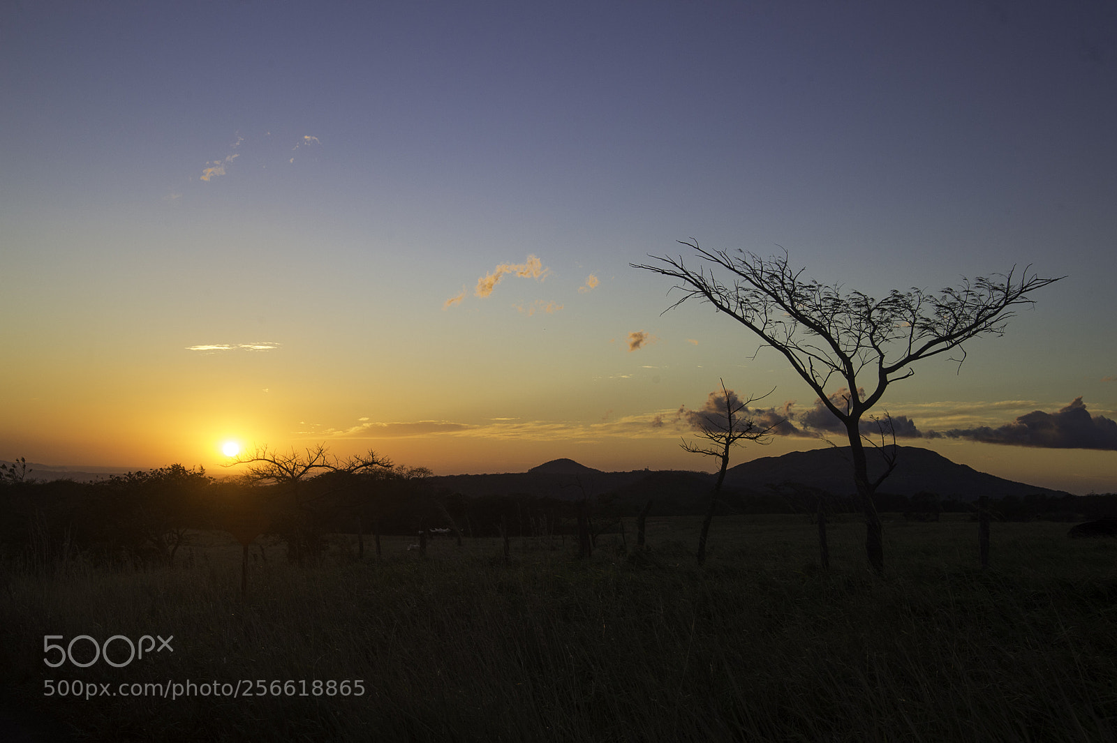 Nikon D4 sample photo. Guanacaste escondido photography