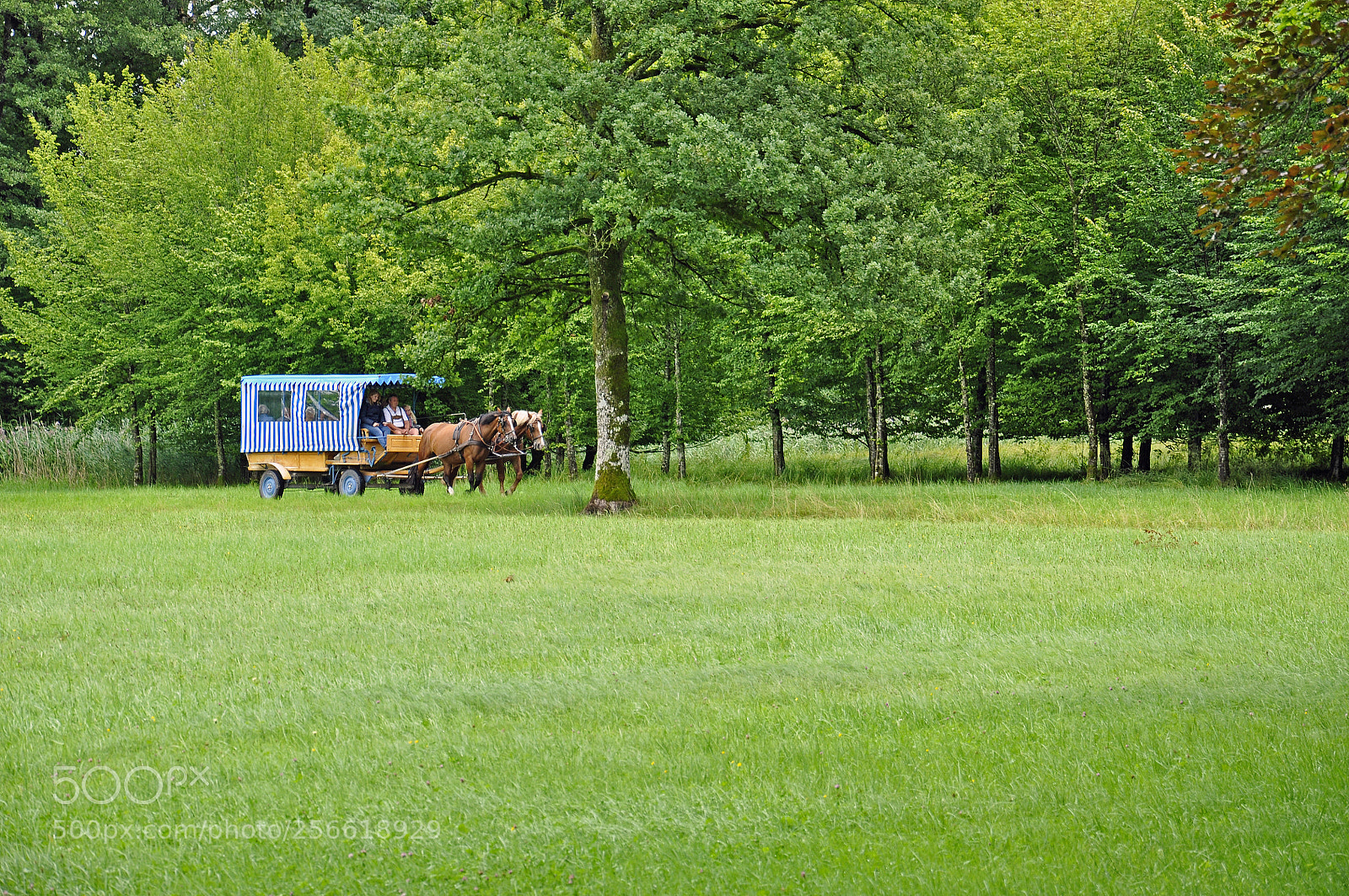Nikon D90 sample photo. Herrenchiemsee photography