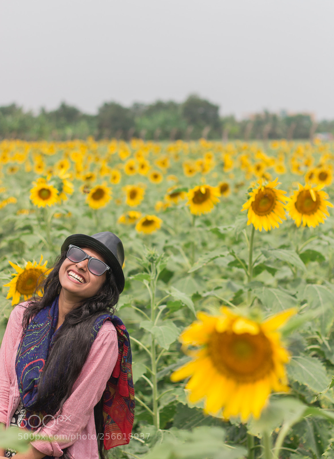 Canon EOS 70D sample photo. The sunflower girl !!! photography