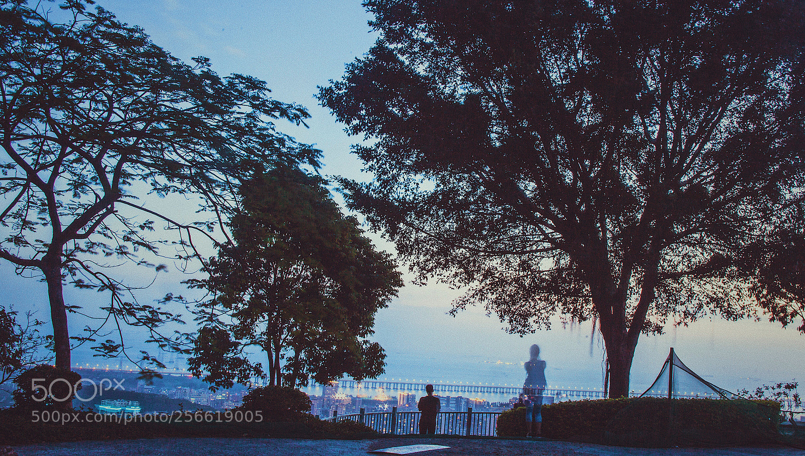 Canon EOS 5D Mark II sample photo. 意境 photography
