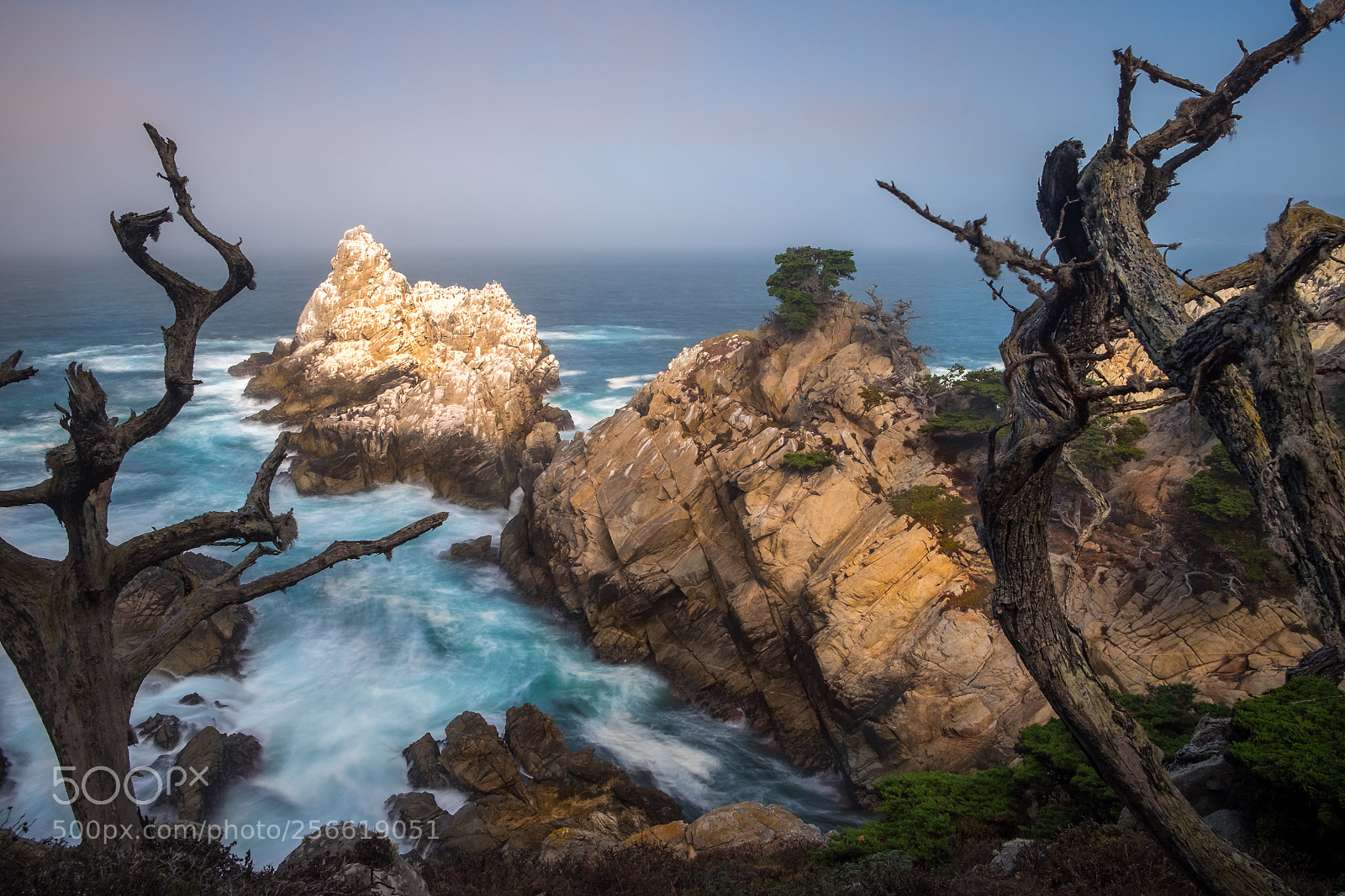 Fujifilm X-T1 sample photo. Point lobos state reserve photography