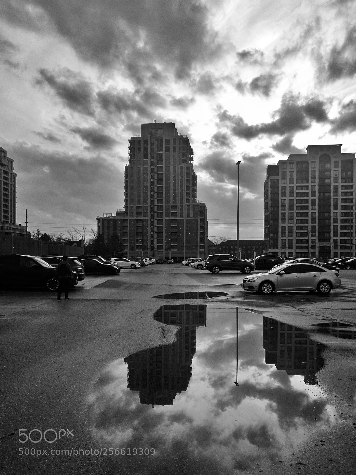 HUAWEI Mate 8 sample photo. Untitled photography