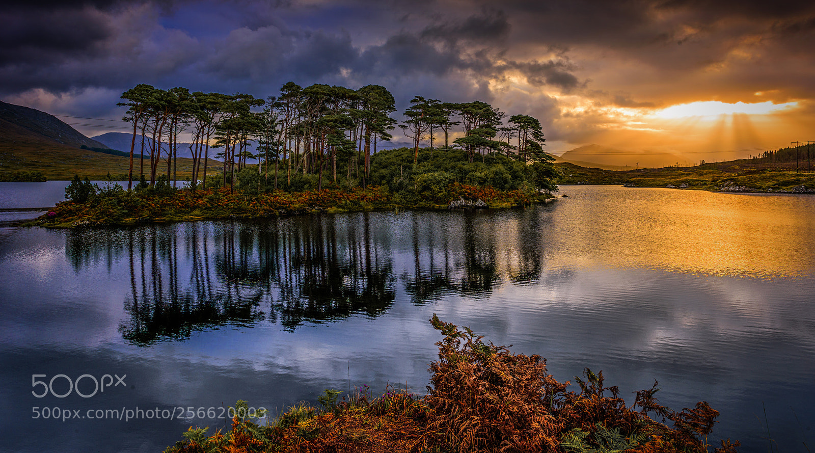 Nikon D810 sample photo. Irish light photography