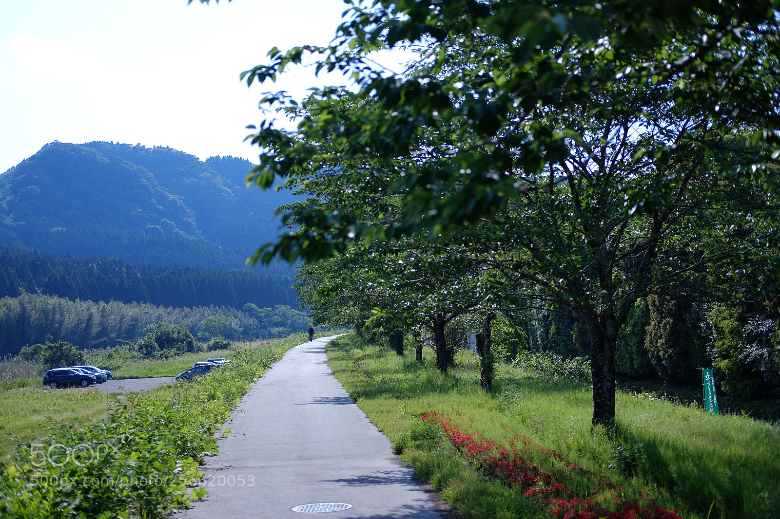 Fujifilm X-T10 sample photo. Dscf photography