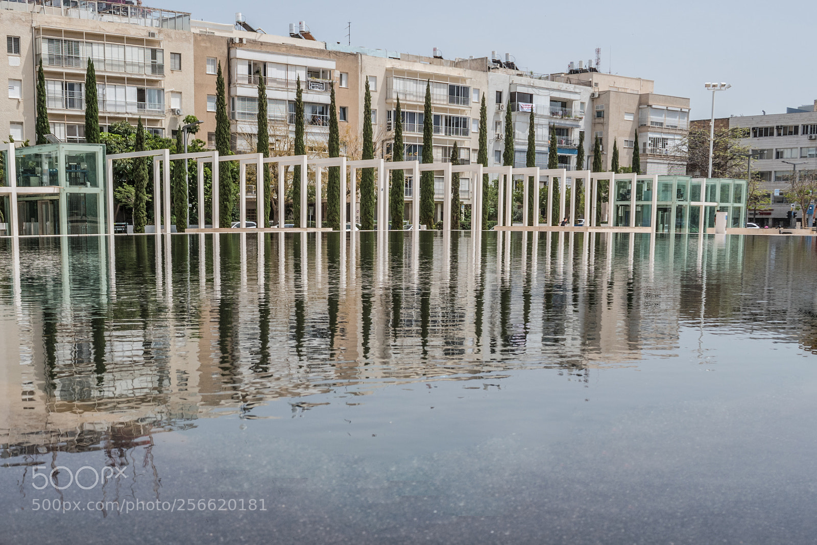 Nikon D5600 sample photo. Reflection photography