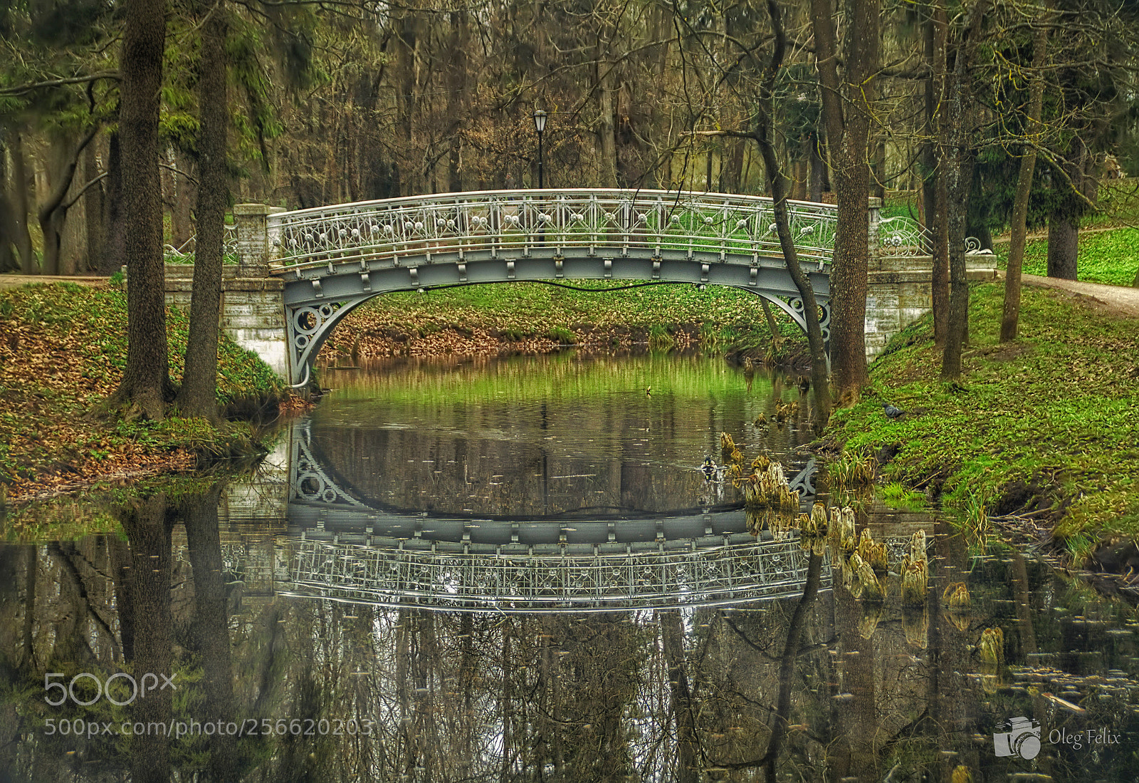 Sony SLT-A37 sample photo. Bridge in the рark photography
