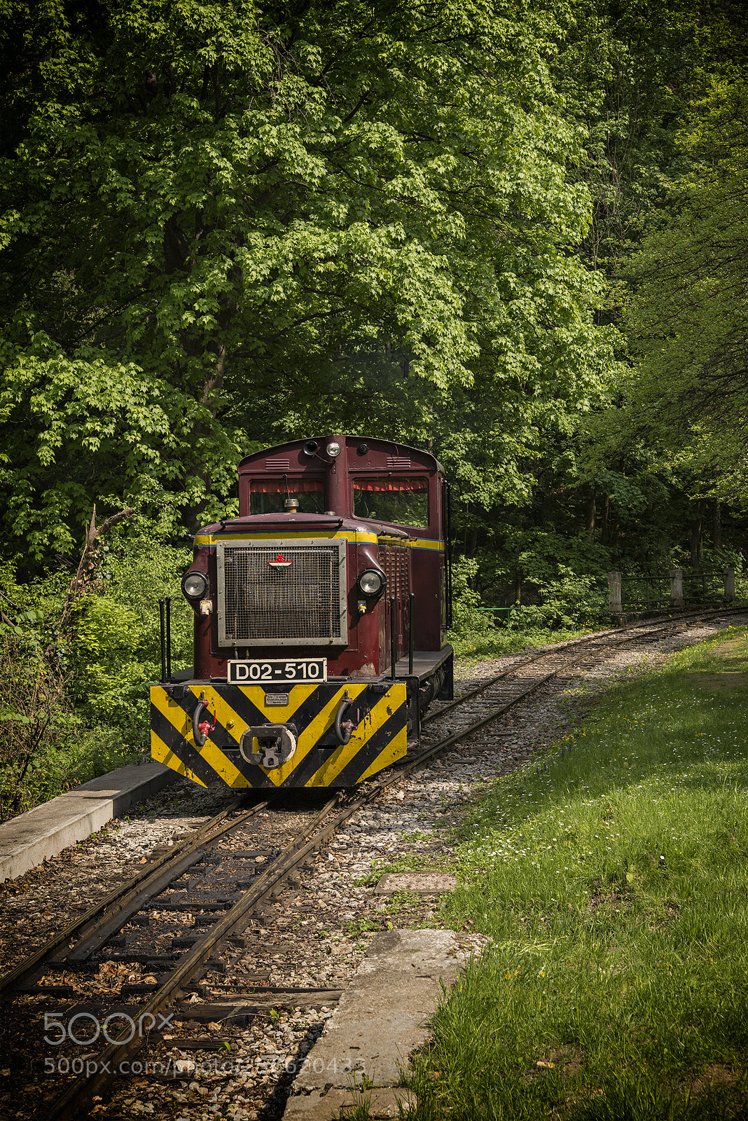 Nikon D610 sample photo. Train photography