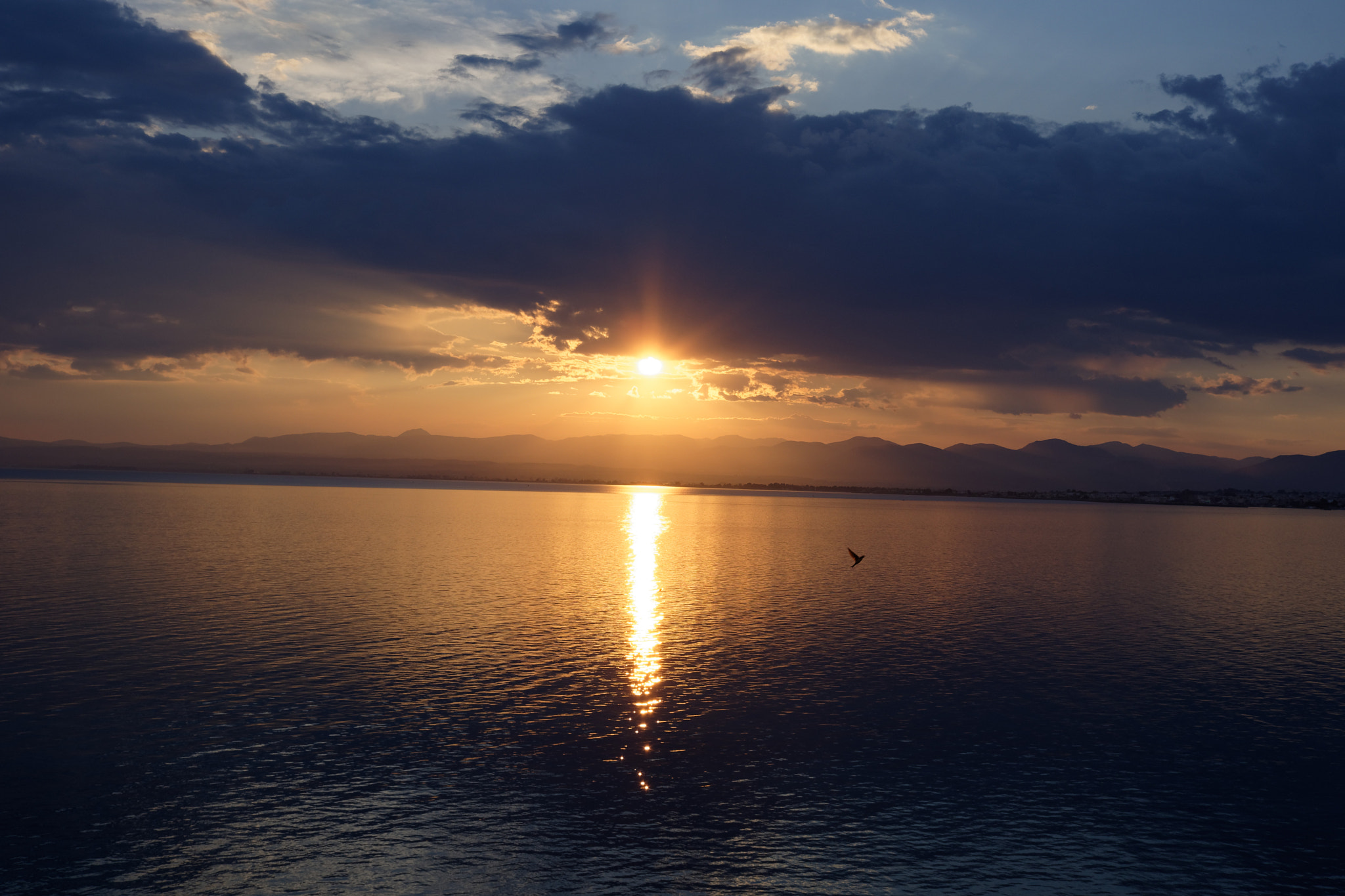 Nikon D7200 sample photo. Lone bird in sunset photography