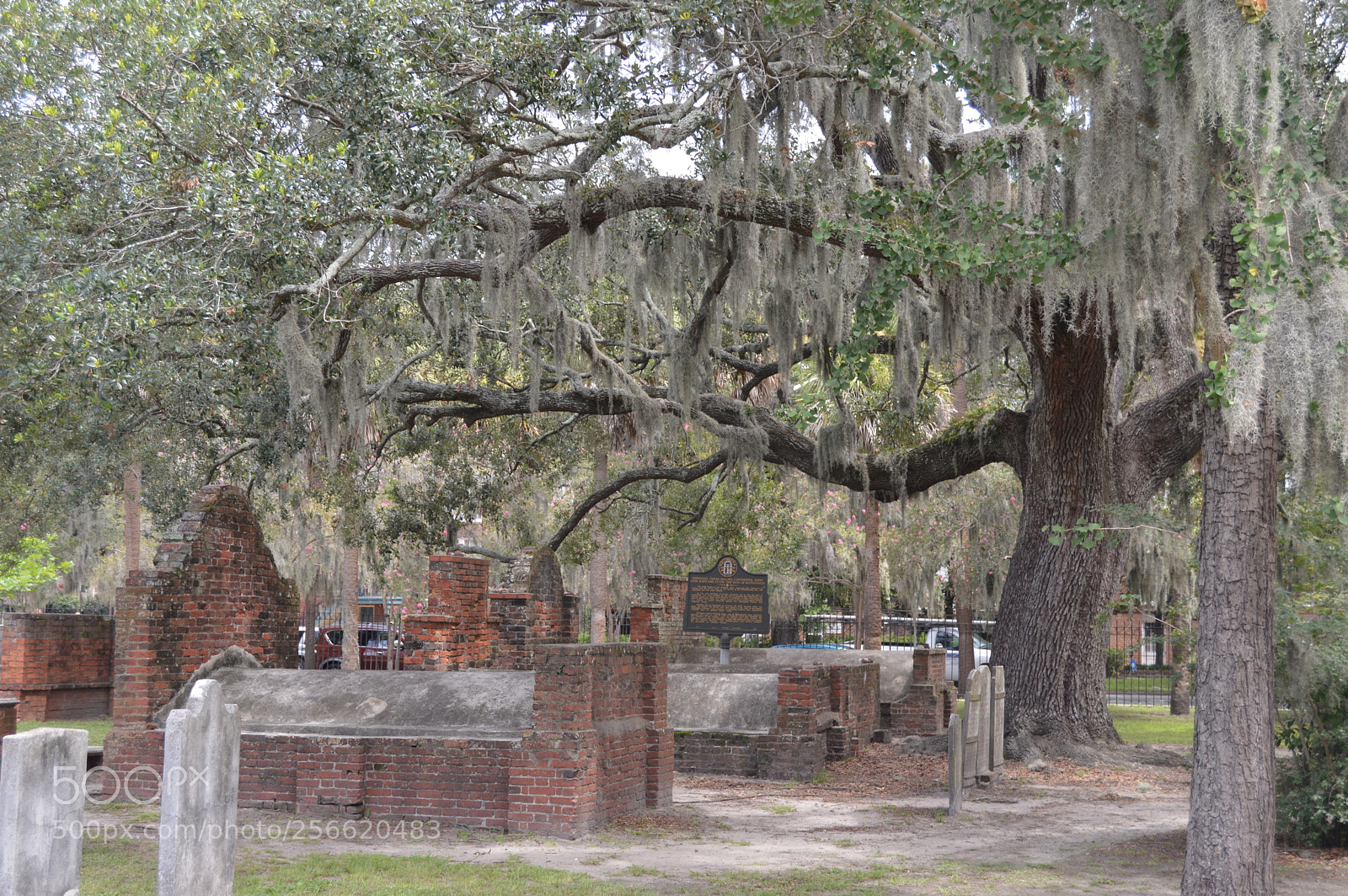 Nikon D3200 sample photo. Graveyard photography