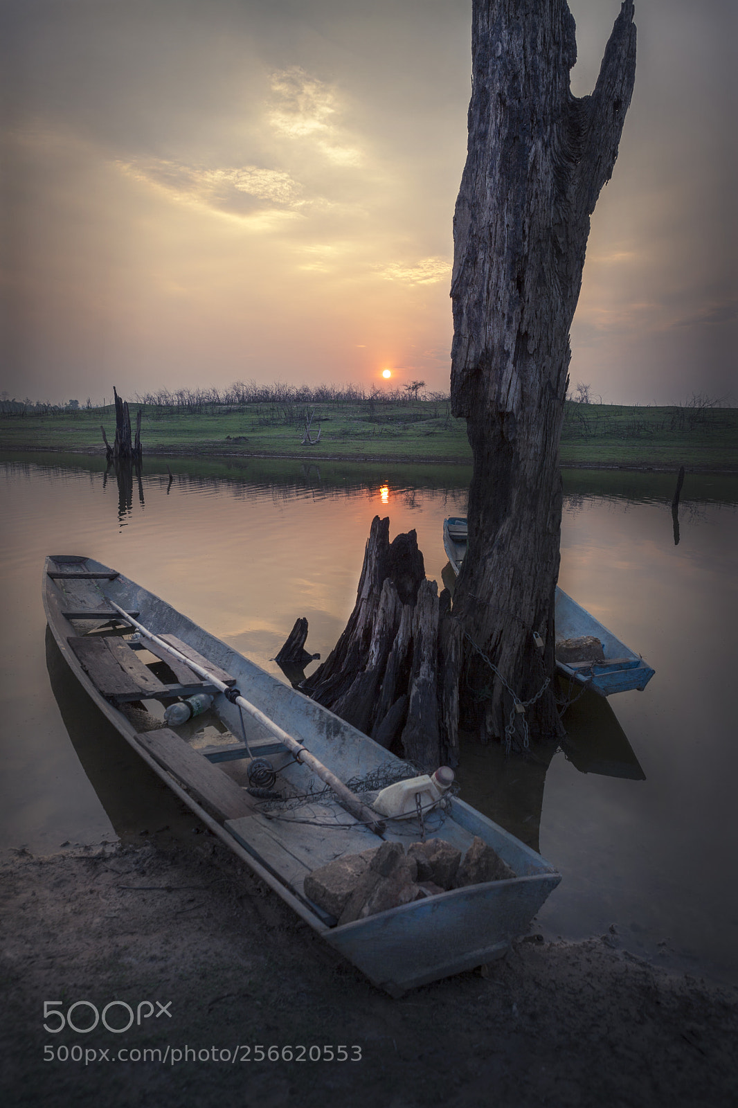 Canon EOS 5D Mark II sample photo. Together photography
