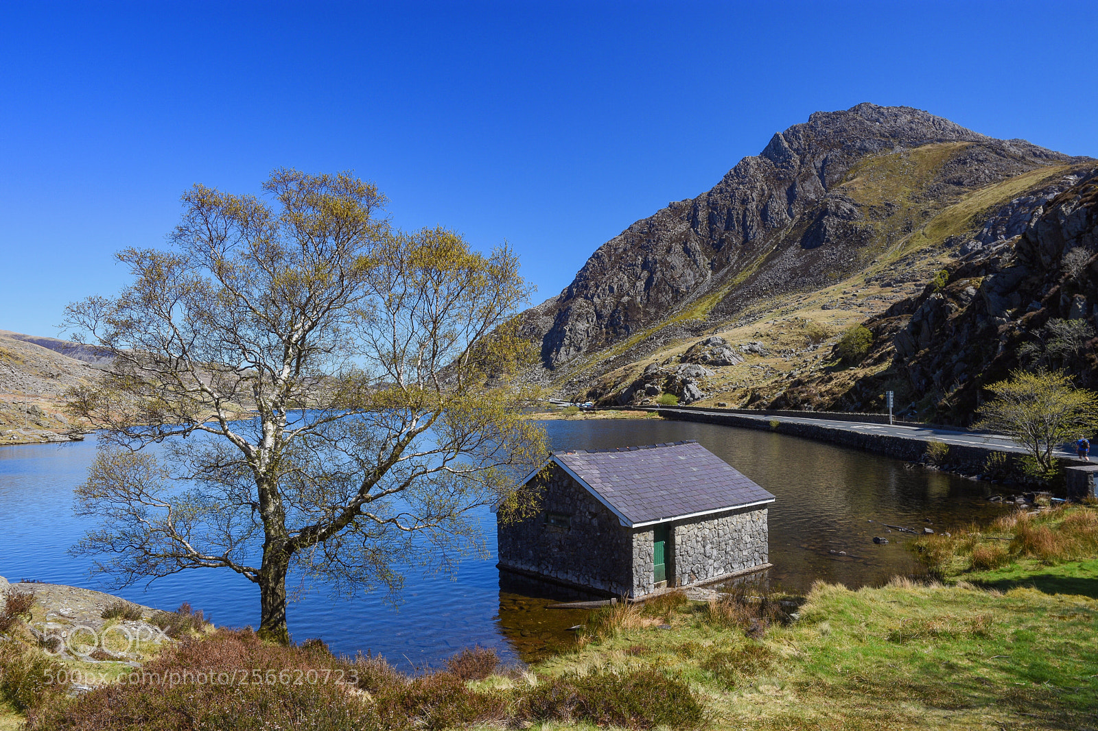 Nikon D7200 sample photo. The boat house and photography