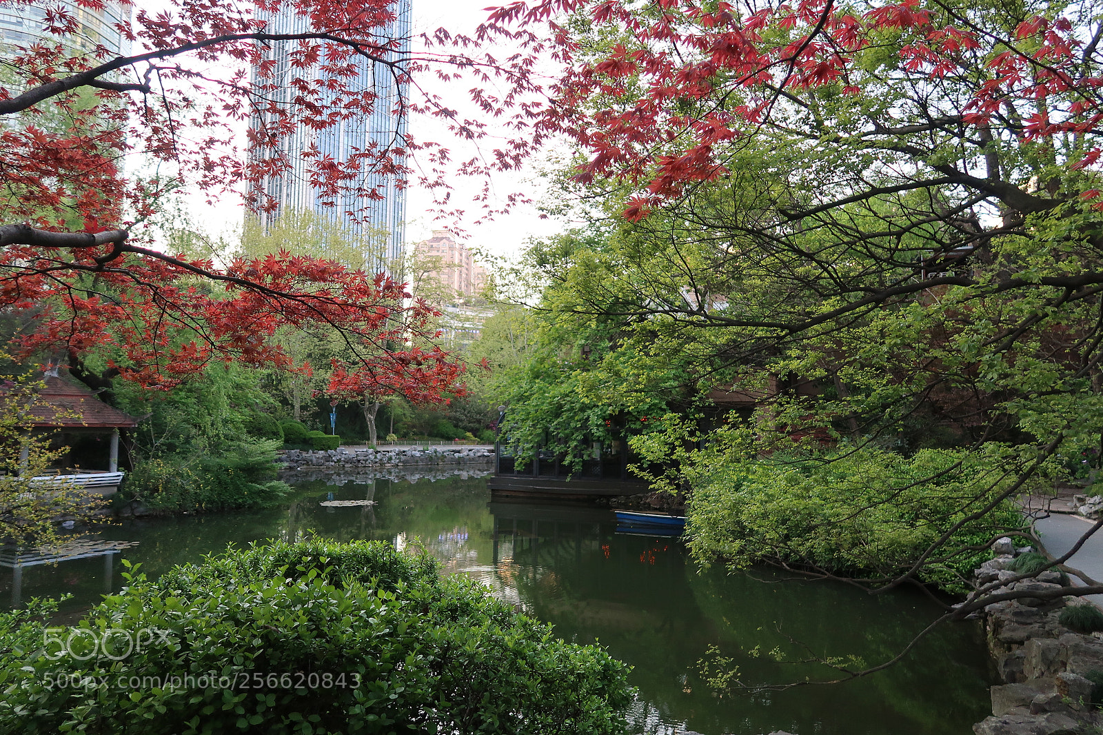 Canon PowerShot G7 X Mark II sample photo. The pond in people's photography