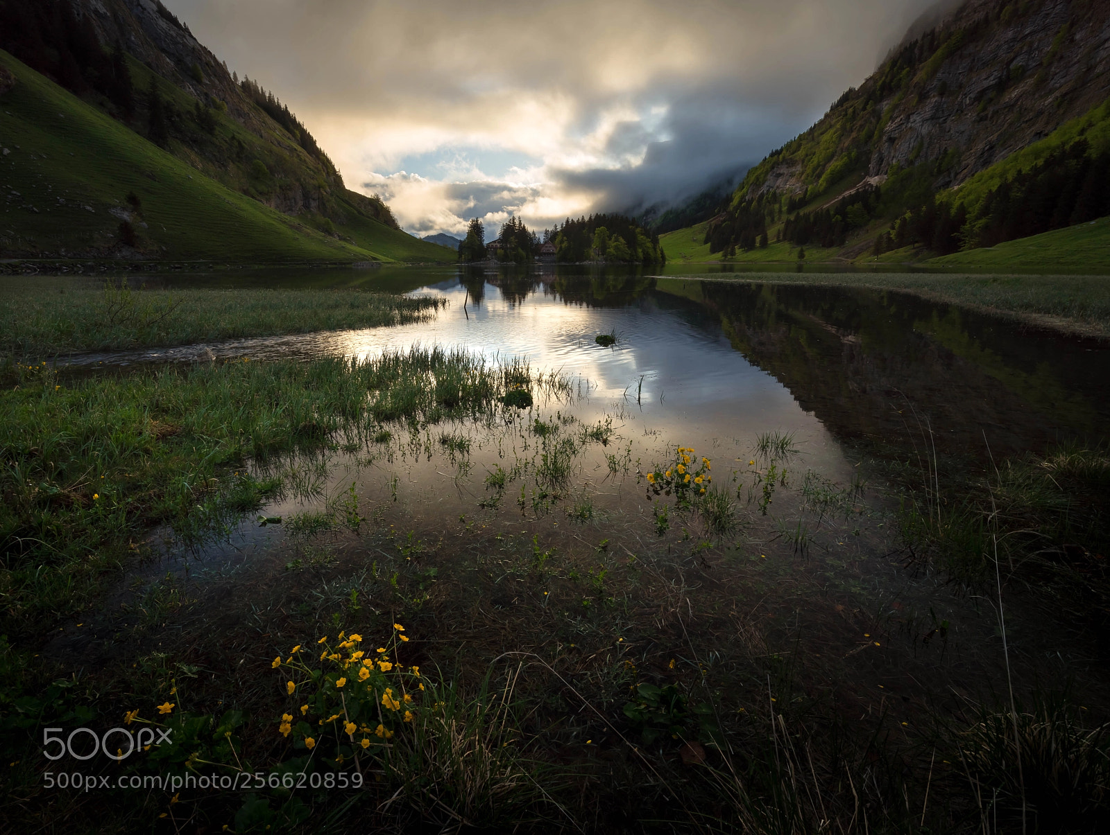 Sony a7R sample photo. Seealpsee photography
