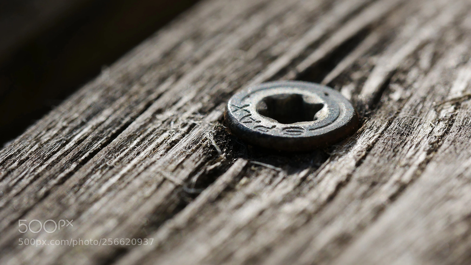 Panasonic Lumix DMC-GX85 (Lumix DMC-GX80 / Lumix DMC-GX7 Mark II) sample photo. Spax photography