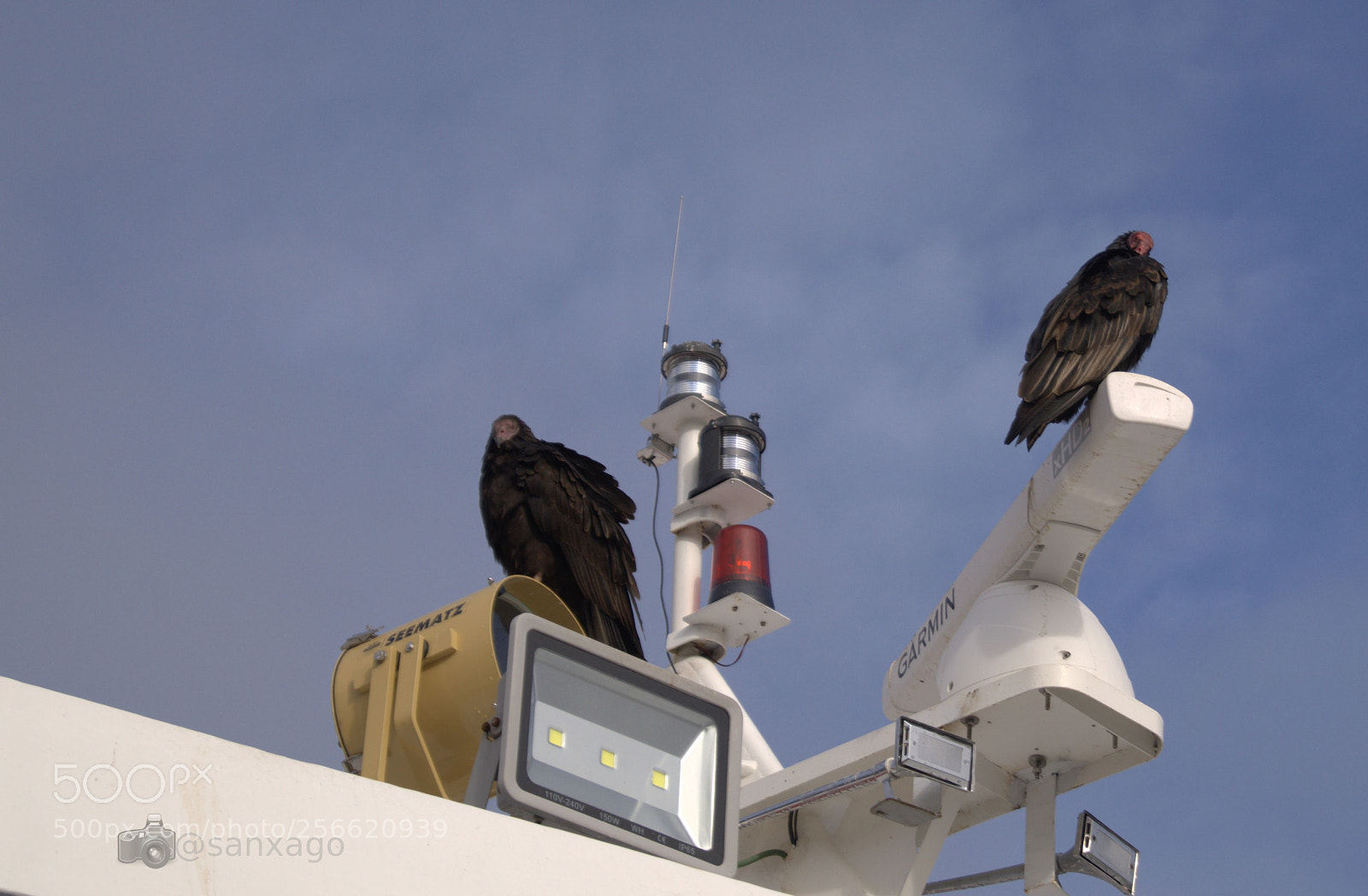 Sony SLT-A58 sample photo. Riocallecalle* photography