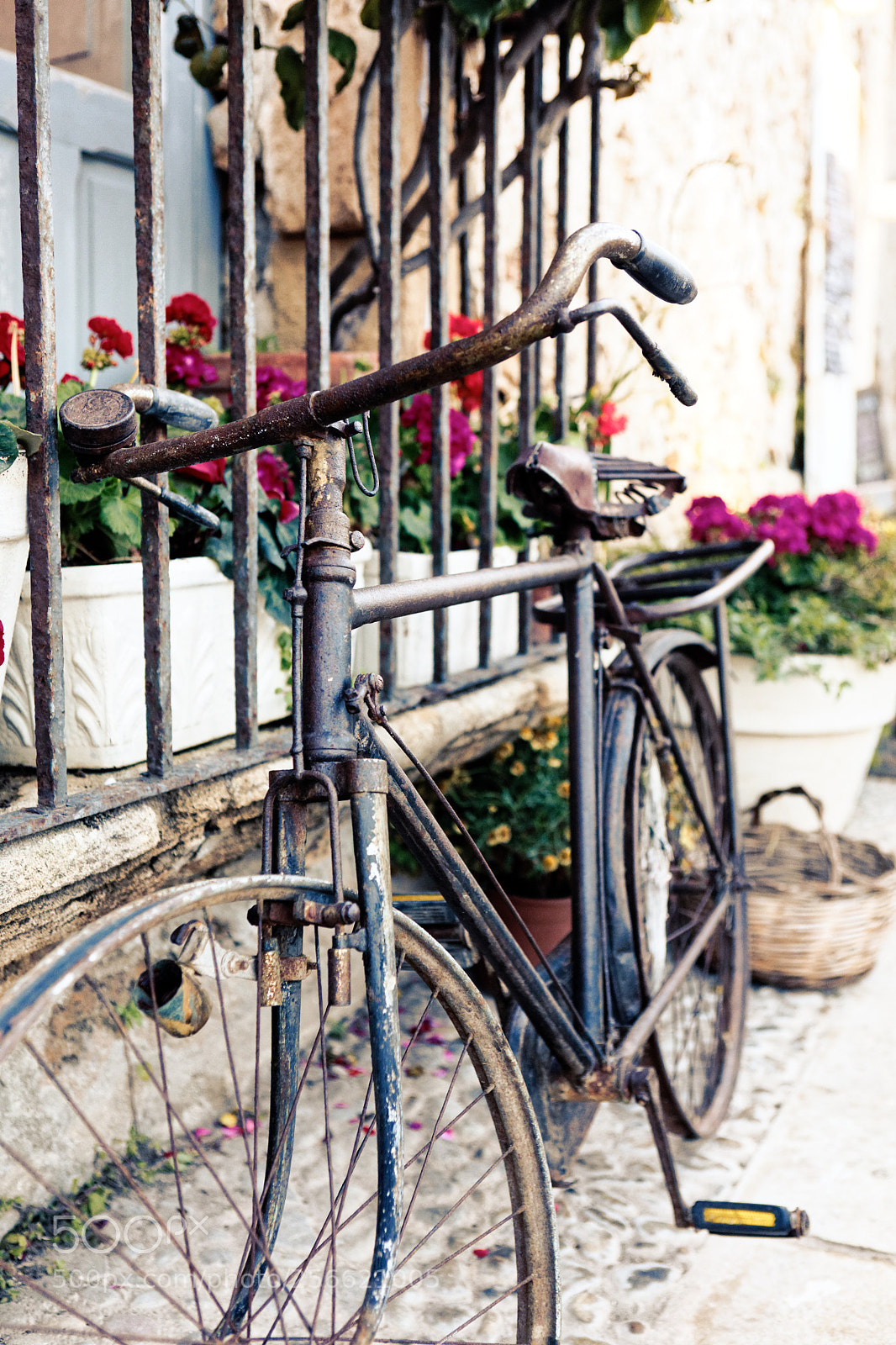 Canon EOS 5D Mark IV sample photo. Old bicycle photography