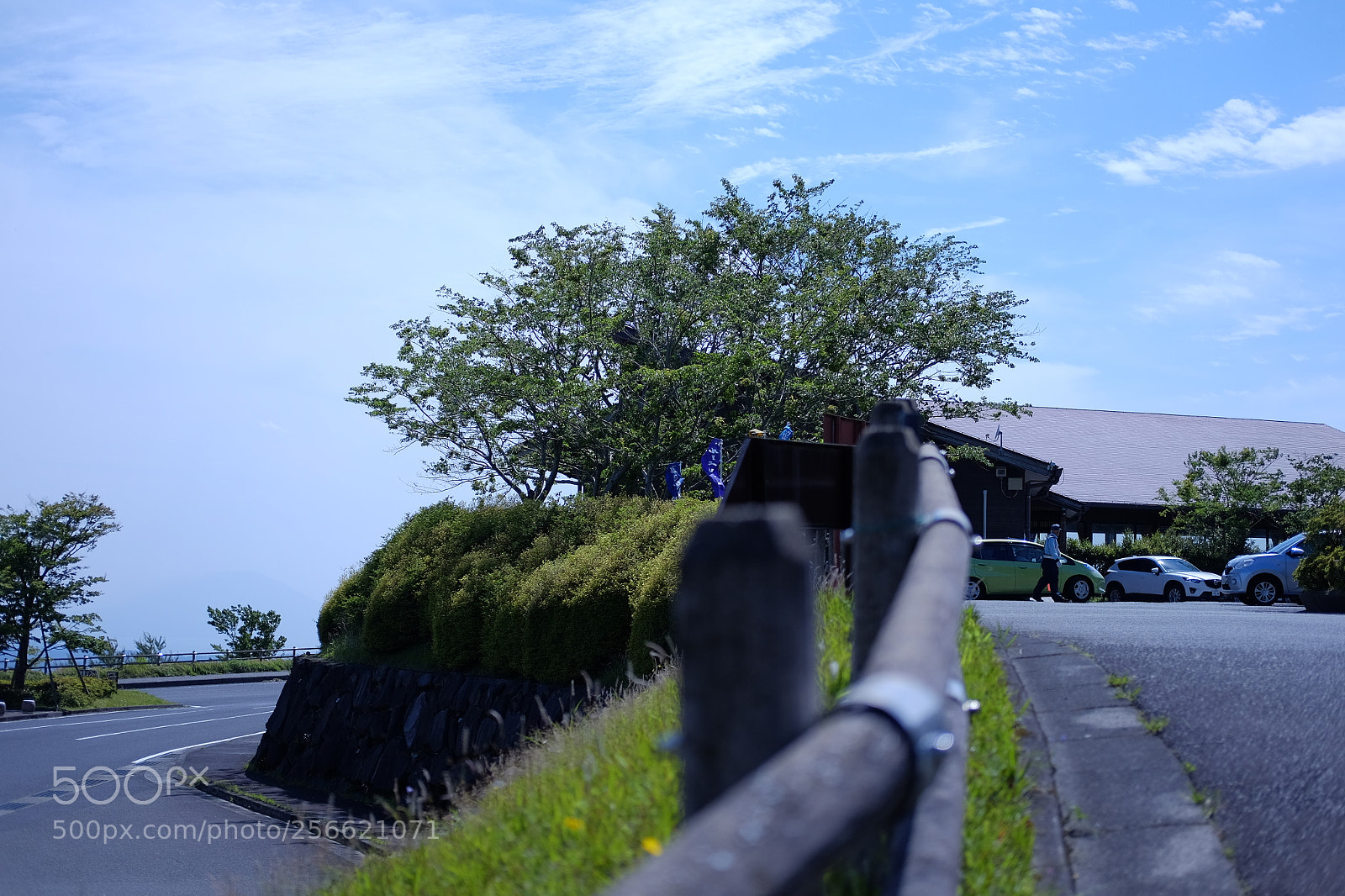 Fujifilm X-T10 sample photo. Dscf photography