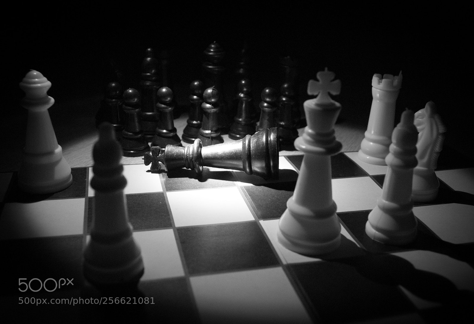 Nikon D3000 sample photo. The fallen kingdom photography