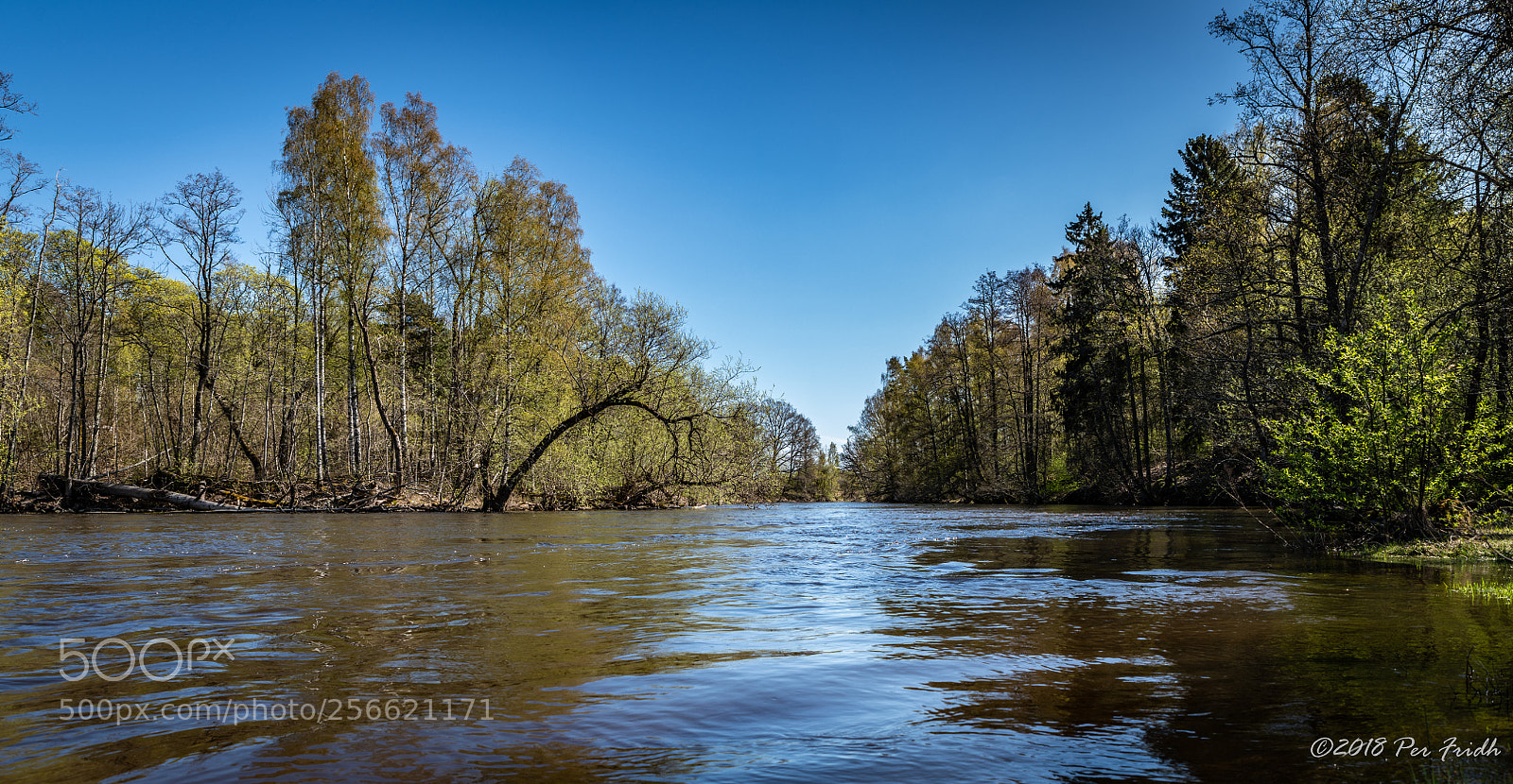 Nikon D850 sample photo. Kolbäck river photography