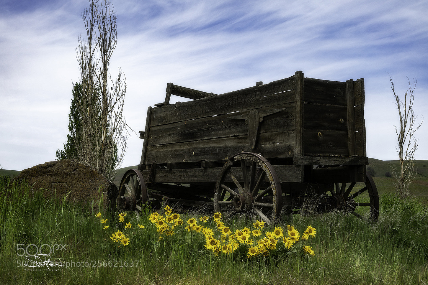 Sony a7R II sample photo. Old farm wagon photography