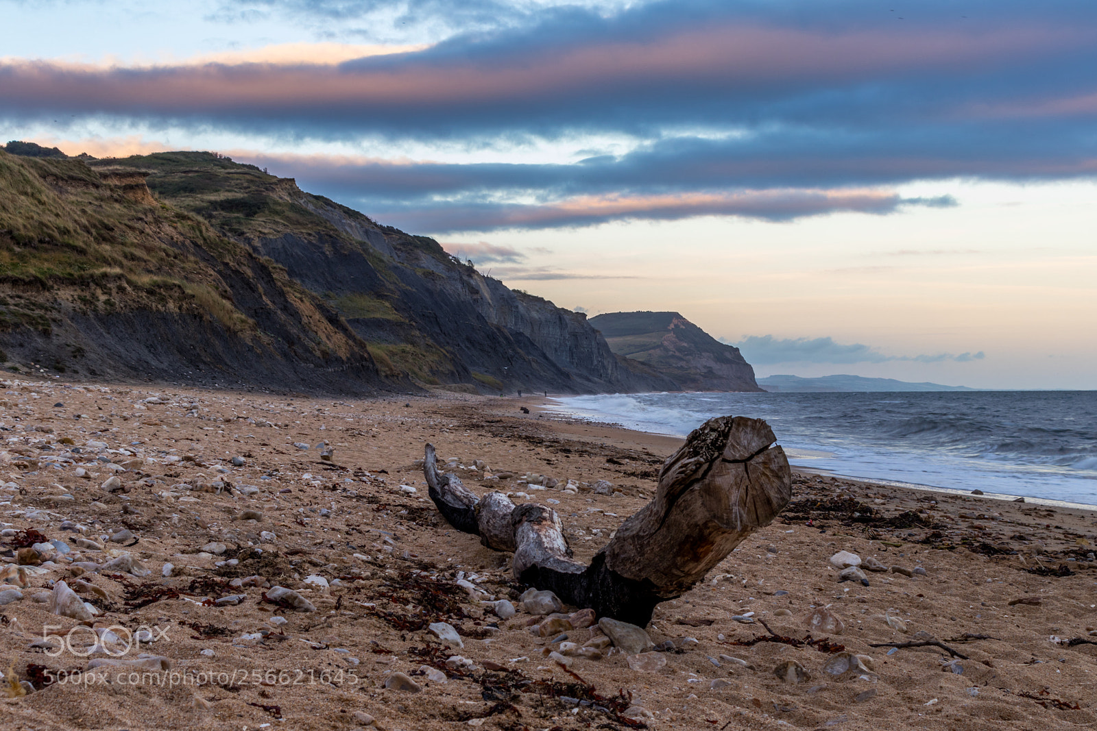 Canon EOS 80D sample photo. Driftwood photography
