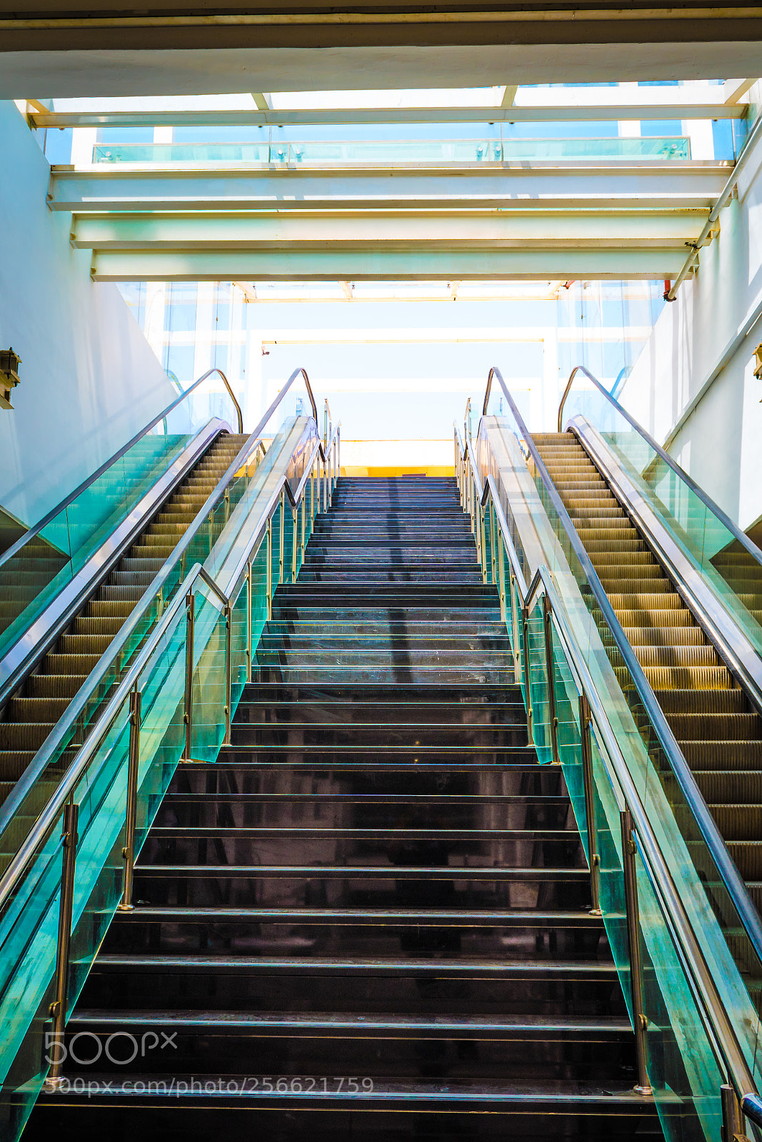 Nikon D5600 sample photo. Up! photography