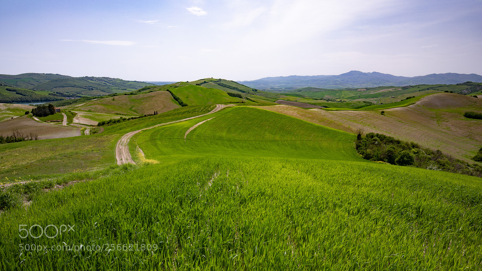 Canon EOS 5D Mark IV sample photo. San casciano dei bagni photography